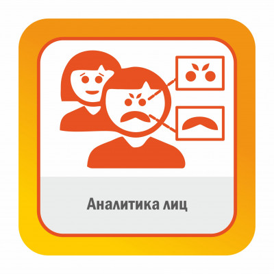 Модуль ПО Аналитика лиц