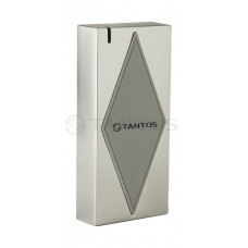 TS-RDR-E Metal W-26 Считыватель уличный антивандальный настенный EM-Marine