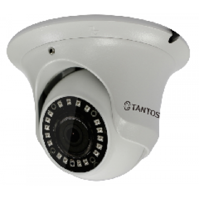 TSi-Ee50FP Уличная купольная антивандальная IP-видеокамера 5Mpix, 3,6мм.