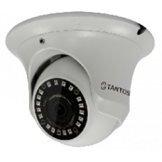 TSi-Ee50FP Уличная купольная антивандальная IP-видеокамера 5Mpix, 3,6мм.