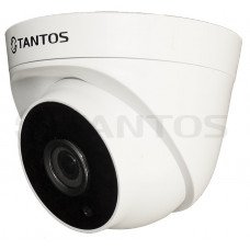 TSi-Eeco25F Внутренняя купольная IP-видеокамера 2Mpix, 3,6мм.
