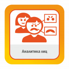 Аналитика лиц Распознавание лиц cистемы видеонаблюдения Satvision
